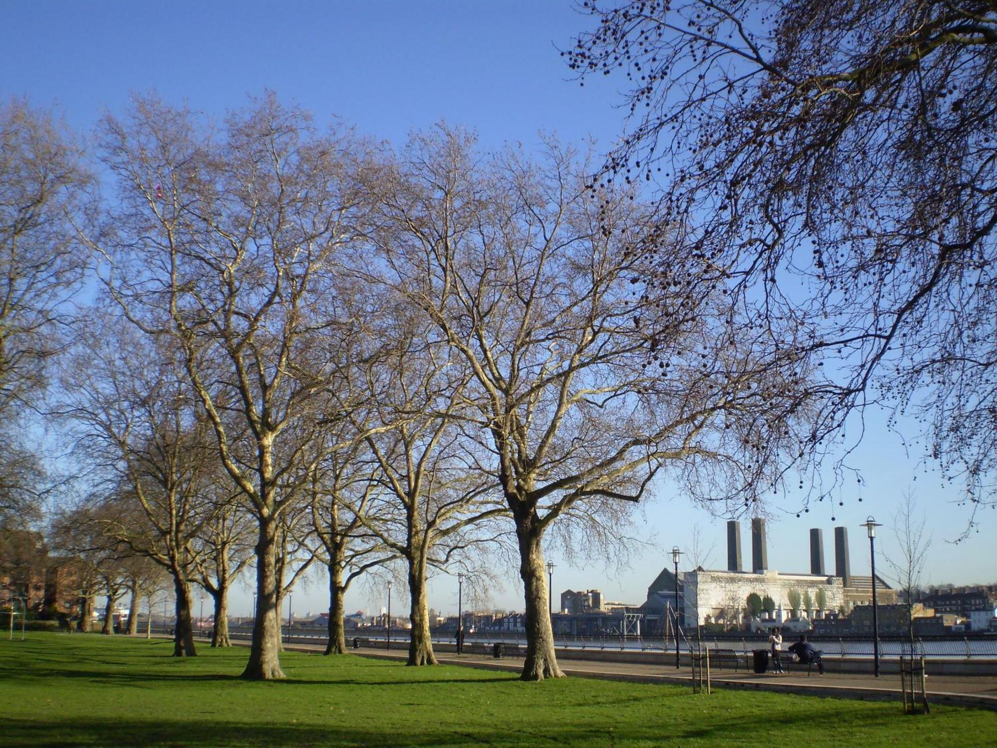 Bartlett House With Terrace Near Greenwich London Exterior photo
